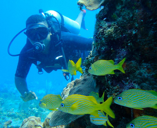 Comprar expertiencia de Snorkel en Punta Cana desde Pampa Almirón